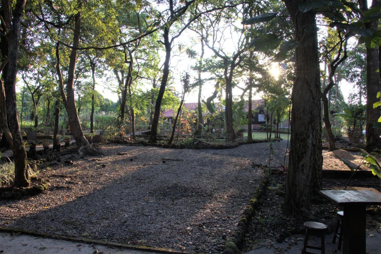 Casa Unica Com Piscina E Lareira A 1,2 Km Do Centro Villa Chapada dos Guimarães Екстериор снимка